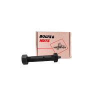 Bolt with lock nut