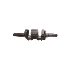 Crank Shaft